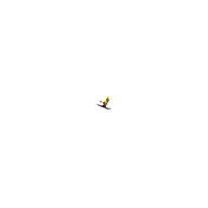 Application icon
